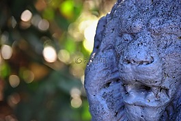 獅子雕像,戶外,獅子