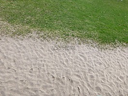 草,沙,對比
