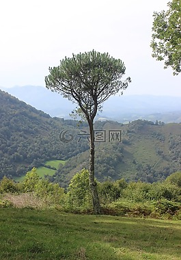 pyrenee,山,设有私人停在baretous