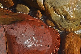 特寫(xiě),桌面,石頭