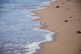 泡沫,海洋,水
