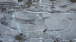 冰,凍結(jié),水坑