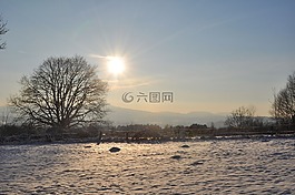 印象,景觀,心情