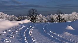 攪拌機,雪,自動