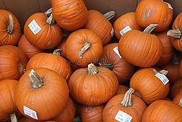 南瓜,食品,橙色