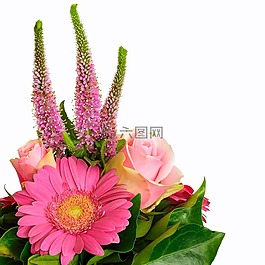 夏季,鮮花,花束