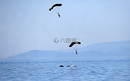 降落傘,跳,海洋