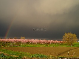 雷暴,彩虹,春