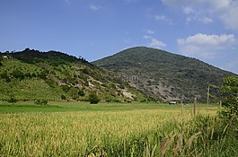 飯,農(nóng)場(chǎng),天空