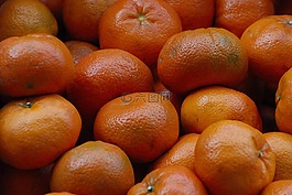 橘子,murcot,水果