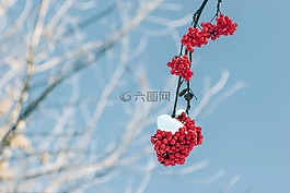 洛恩,分支,冬季