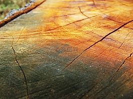 木材,樹干,鋸材