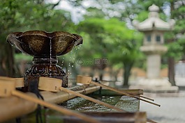 水,噴泉,樹