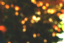 圣誕節(jié),樹(shù),燈
