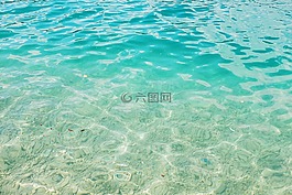 海,海洋,水