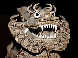 龍,怪物,神秘生物