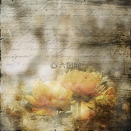 信件,老,鮮花