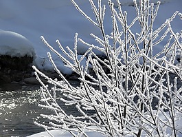 冰,eiskristalle,冬天