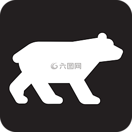 熊,野生动物,动物