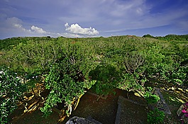 巴厘島,綠樹,藍(lán)天