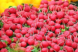 蘿卜,蔬菜健康,食品