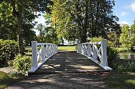 橋,花園,木橋