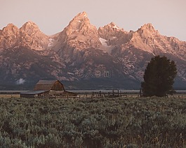 山,谷,樹