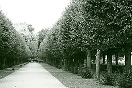 公园,户外,皇家