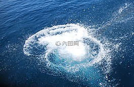 水躍,水,海
