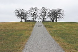 路徑,方式,樹