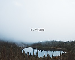 湖,水,樹