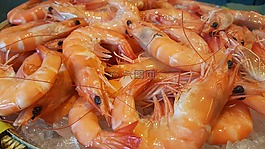 自助餐,行,新鮮