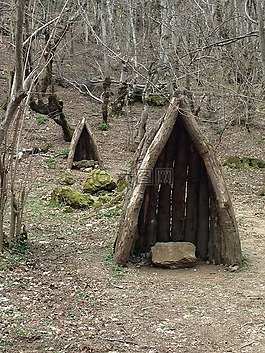 棚屋,房子,老