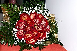 甲板,鮮花,玫瑰
