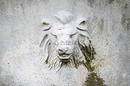 獅子,建筑,墻上