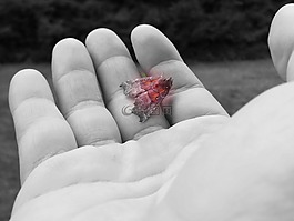 手,護理,蝴蝶