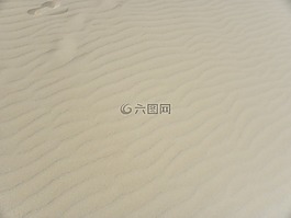 背景,紋理,沙