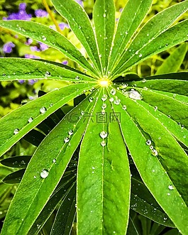 滴,雨點(diǎn),下降
