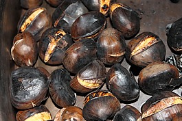 板栗,秋季,吃