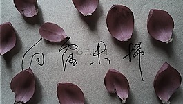 花瓣,文字,白露未悕