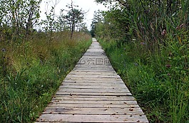 木制軌道,性質(zhì),離