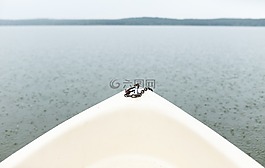 湖,引導,雨