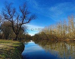 性質(zhì),人體內(nèi)的水,木材