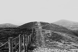 农村,黑色和白色,篱笆