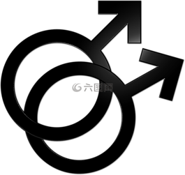 同性戀,符號,夫婦