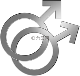同性戀,符號,夫婦