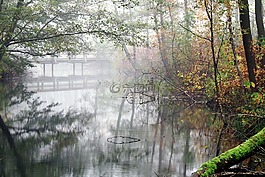 橋,木,老