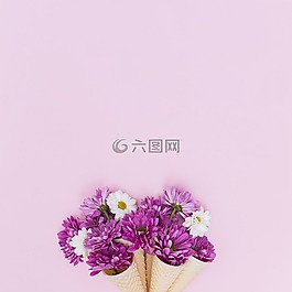 花,自然,植物区系