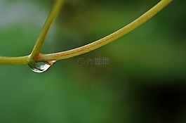 水,下降,雨
