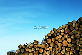 木材,日志记录,蓝色